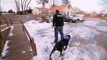 Web episode: Nike the Rottweiler's Aggression show