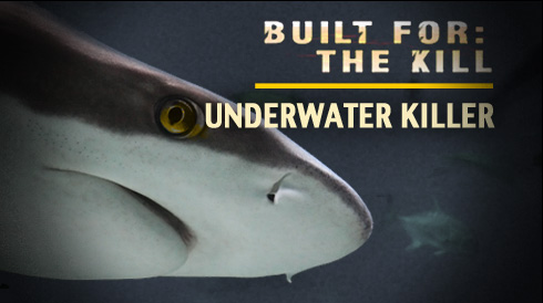 Underwater Killer