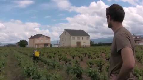 Leaving the Vineyards Behind