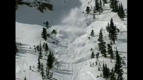Caught in an Avalanche