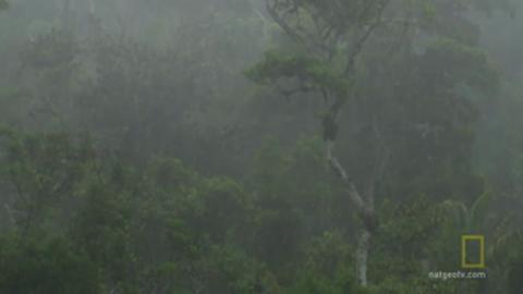 Into Panama's Deadly Rainforest